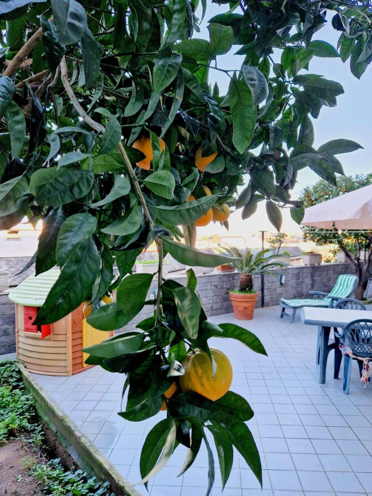 Fuga A Napoli Apartment Bagian luar foto